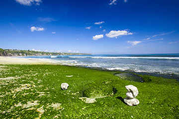 Image showing White Stones in a beach