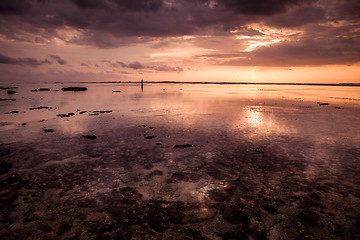 Image showing Tropical sunset