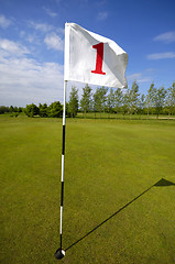 Image showing Golf flag no. one