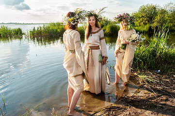 Image showing Beautiful women with flower wreath