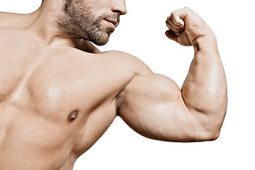 Image showing bodybuilding man biceps