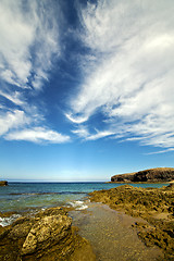 Image showing rock stone    coastline and summer in lanzarote spain