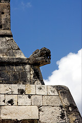 Image showing skull snake in wall  mexico