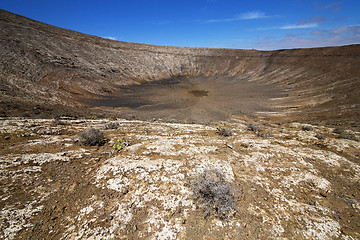 Image showing  summer in los volcanes lanzarote spain plant flower