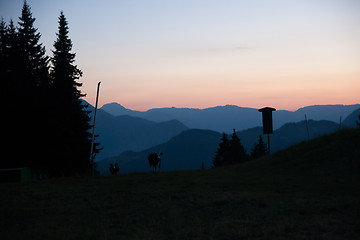 Image showing Evening in Alps mountains