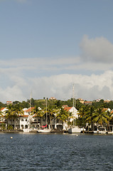 Image showing Rodney Bay yachts sailboats St. Lucia Island in Caribbean Sea wi