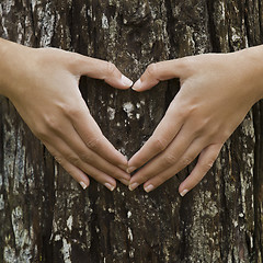 Image showing Saving our forest