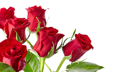 Image showing red roses