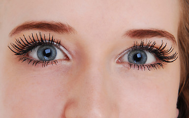 Image showing Beautiful blue eyes.