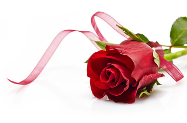 Image showing red rose