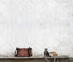 Image showing accordion and tabby cat
