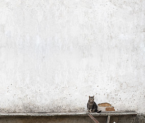 Image showing cat sitting on the bench