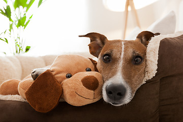 Image showing cozy couple on sofa