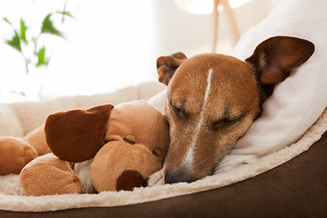 Image showing cozy couple on sofa