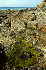 Image showing musk pond beach  in lanzarote 