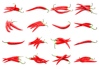 Image showing Chili peppers