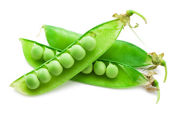 Image showing Pea