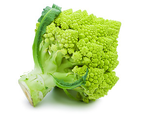 Image showing Romanesco broccoli