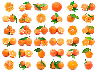 Image showing Mandarins