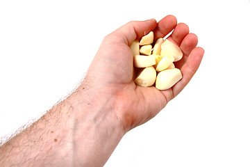 Image showing garlic in my hand 