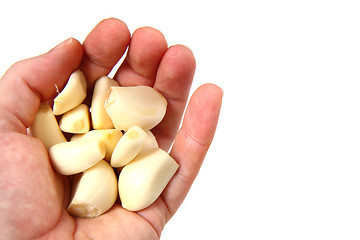 Image showing garlic in my hand 