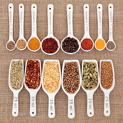 Image showing Herb and Spice Measurement