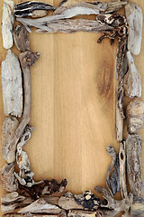 Image showing Driftwood on Oak