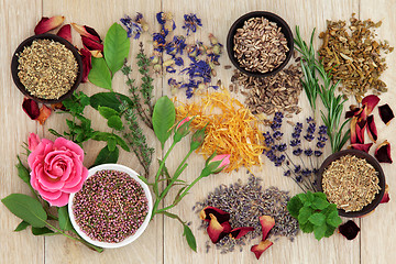 Image showing Natural Herbal Medicine