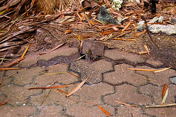 Image showing broken sidewalk of three sided bricks