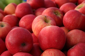 Image showing Gala Apples