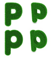 Image showing Letter P made of grass