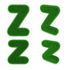 Image showing Letter Z made of grass
