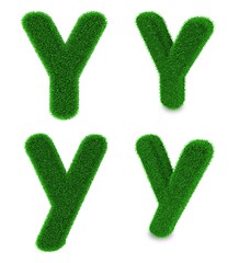Image showing Letter Y made of grass