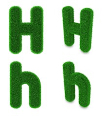Image showing Letter H made of grass