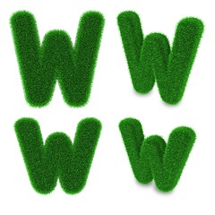 Image showing Letter W made of grass