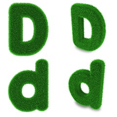 Image showing Letter D made of grass