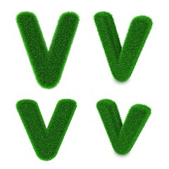 Image showing Letter V made of grass