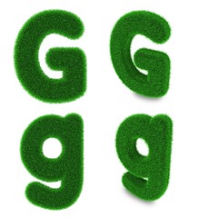 Image showing Letter G made of grass