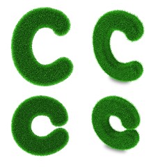 Image showing Letter C made of grass