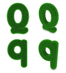 Image showing Letter Q made of grass