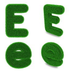 Image showing Letter E made of grass