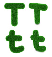 Image showing Letter T made of grass