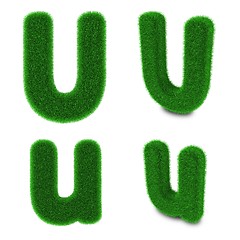 Image showing Letter U made of grass