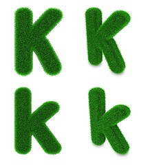 Image showing Letter K made of grass