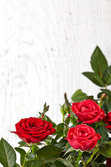 Image showing red roses