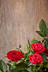 Image showing red roses