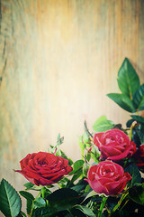 Image showing red roses