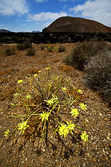 Image showing timanfaya vulcanic  rock stone 