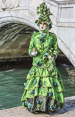 Image showing Green Disguise