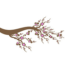 Image showing Cherry Blossoms Tree